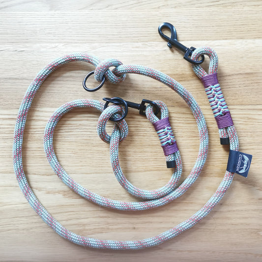 Klassische Hundeleine – Mehrfarbiges Geflecht